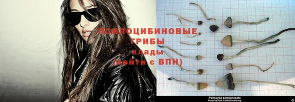 а пвп мука Коряжма
