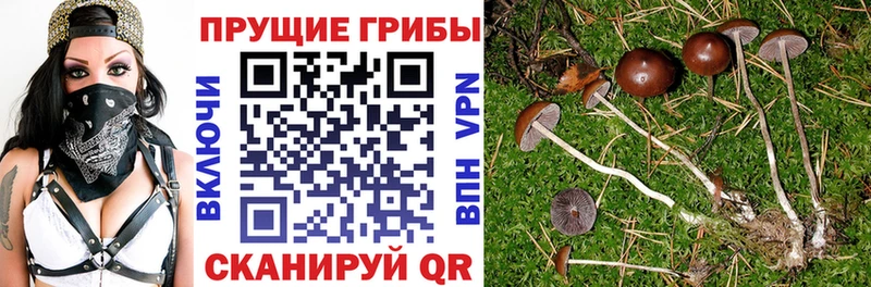 Галлюциногенные грибы GOLDEN TEACHER  mega маркетплейс  Норильск  где продают  