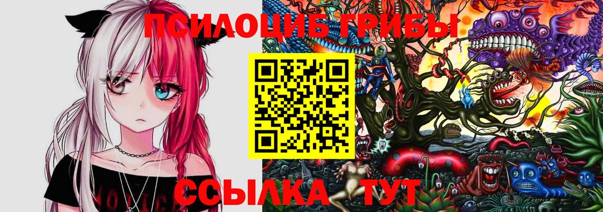 Норильск  Псилоцибиновые грибы мухоморы  Вход с VPN  Псилоцибиновые грибы MAGIC MUSHROOMS 