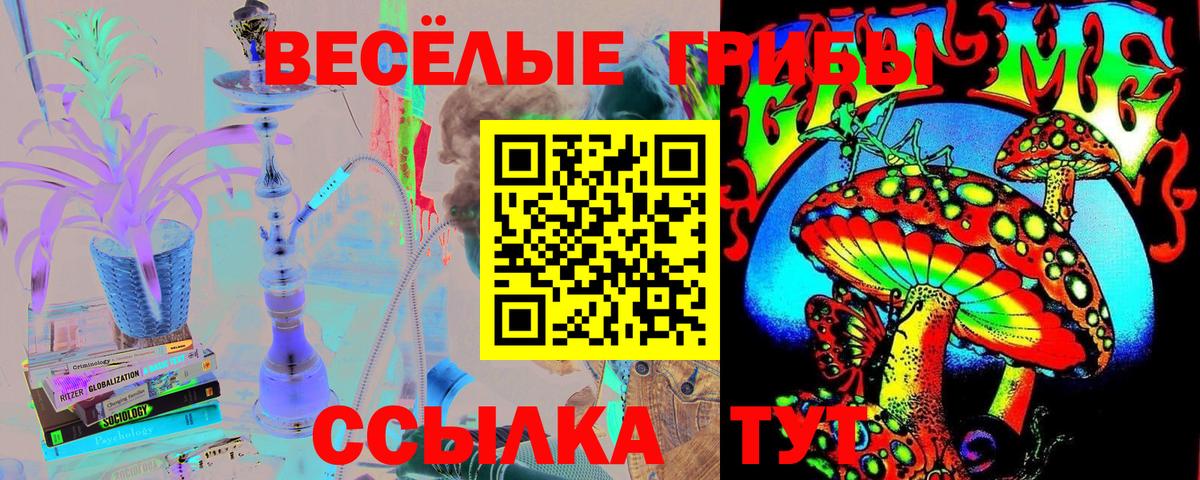 Псилоцибиновые грибы мицелий Норильск