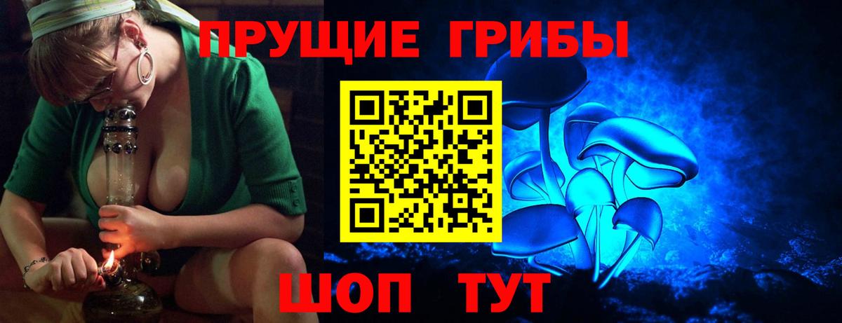 Псилоцибиновые грибы мицелий Норильск